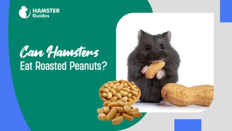 Can Hamsters Eat Roasted Peanuts