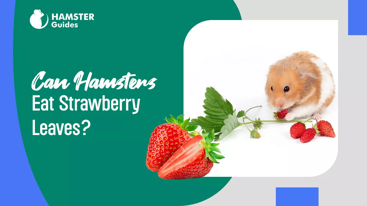 Can Hamsters Eat Strawberry Leaves