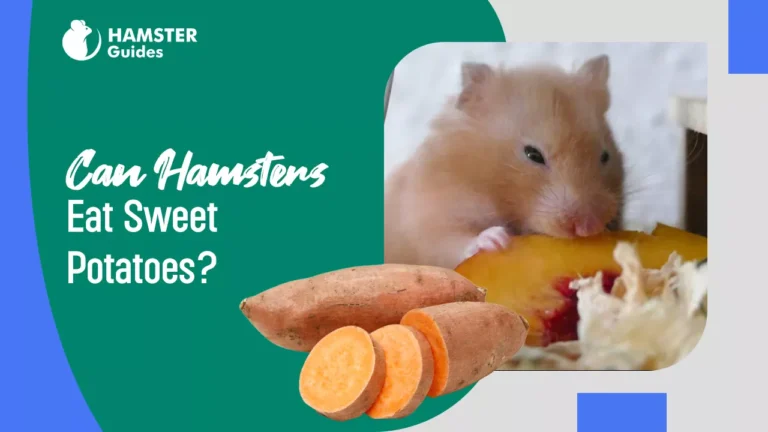 Can Hamsters Eat Sweet Potatoes
