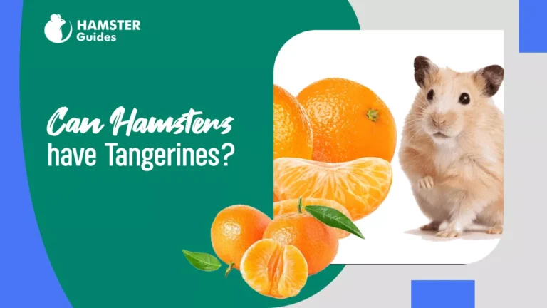Can Hamsters Eat Tangerines
