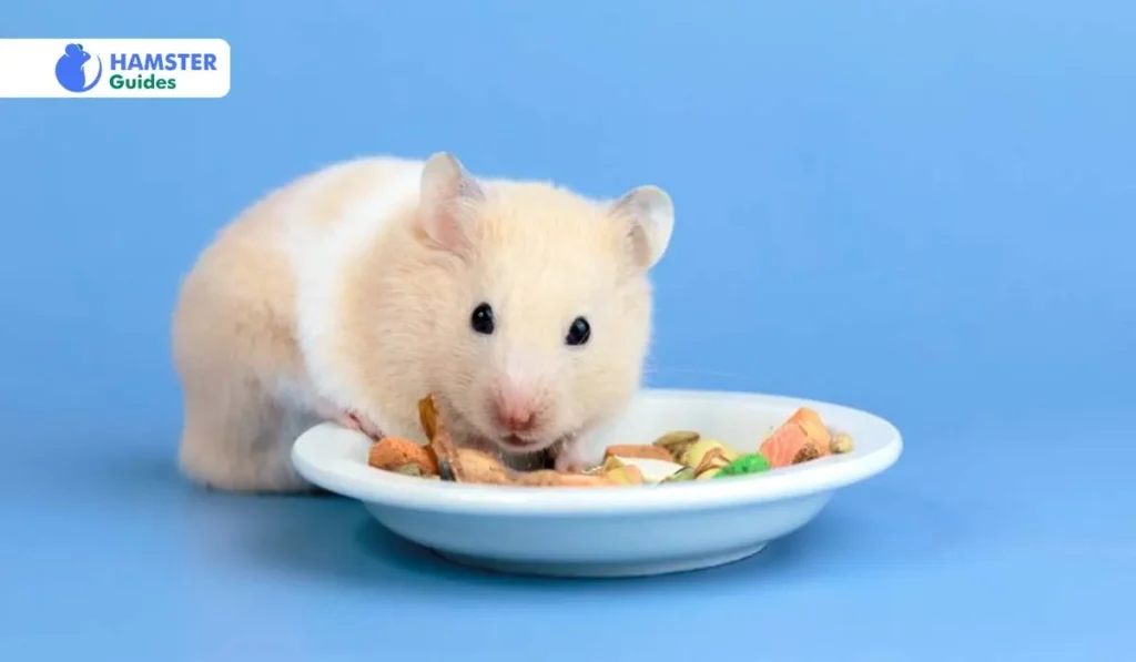 Can Hamsters Eat Tomato Sauce