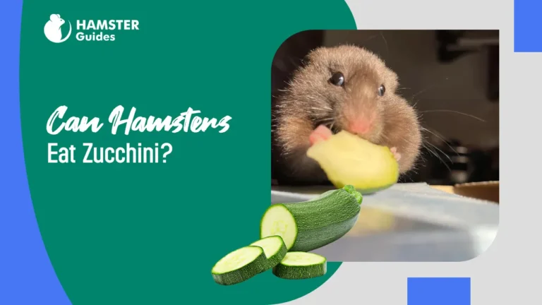 Can Hamsters Eat Zucchini