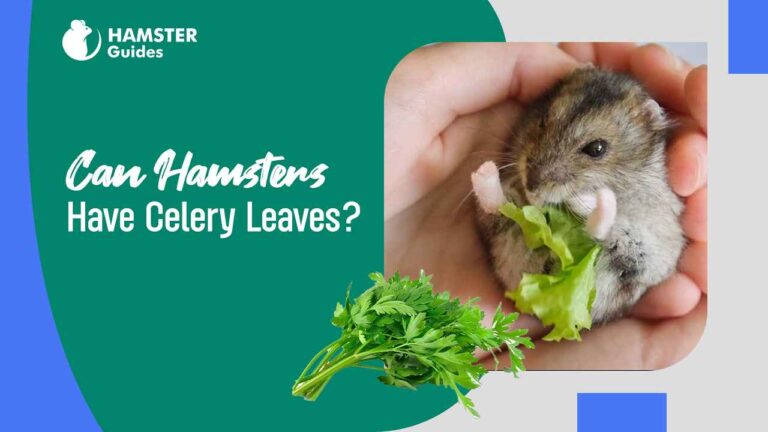 Can Hamsters Have Celery Leaves