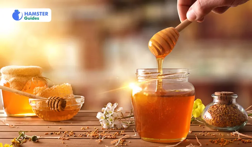 Can Hamsters Have Honey as Food