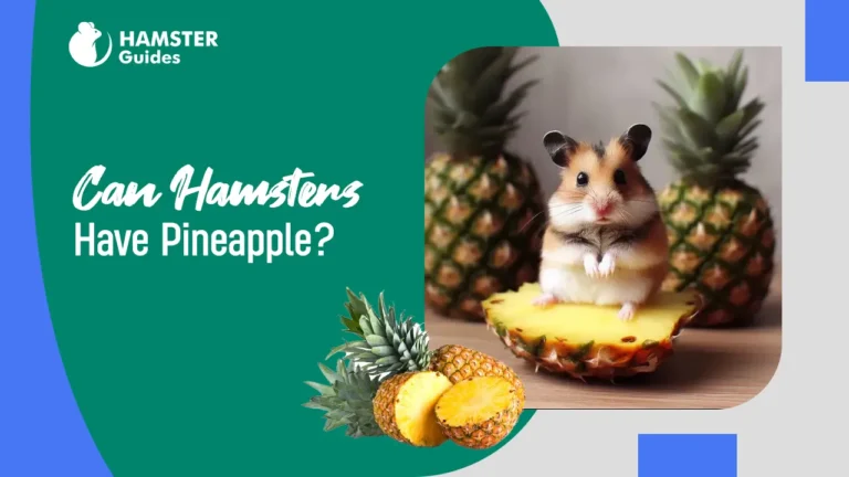 Can Hamsters Have Pineapple