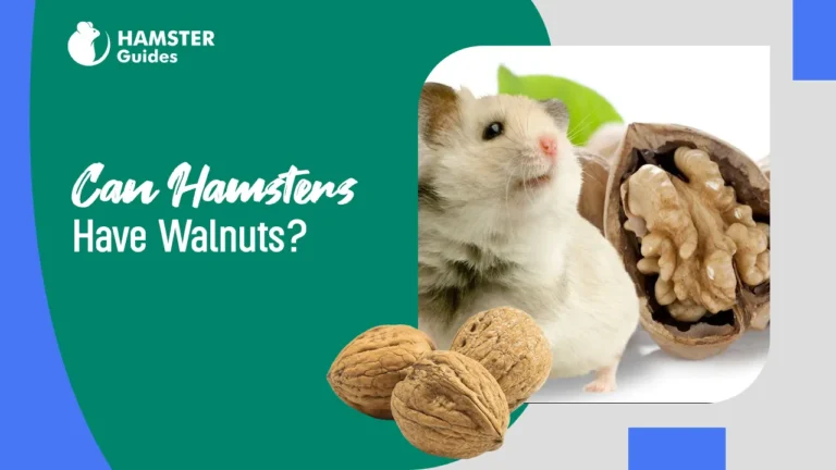 Can Hamsters Have Walnuts
