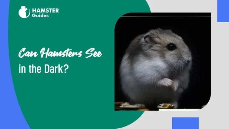 Can Hamsters See in the Dark