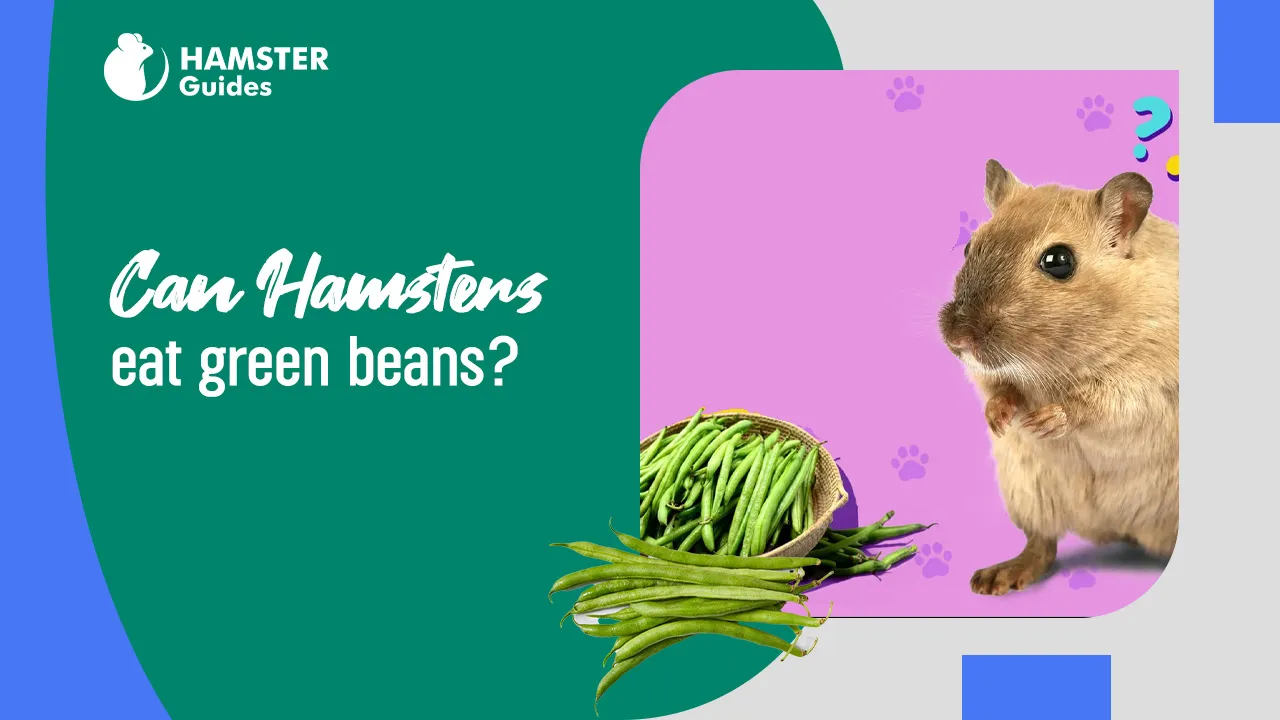Can hamsters eat green beans