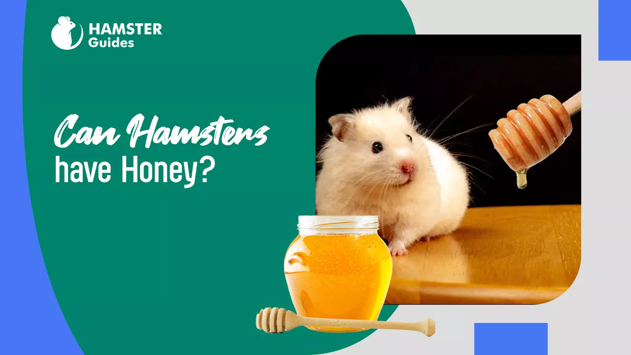Can hamsters have Honey?