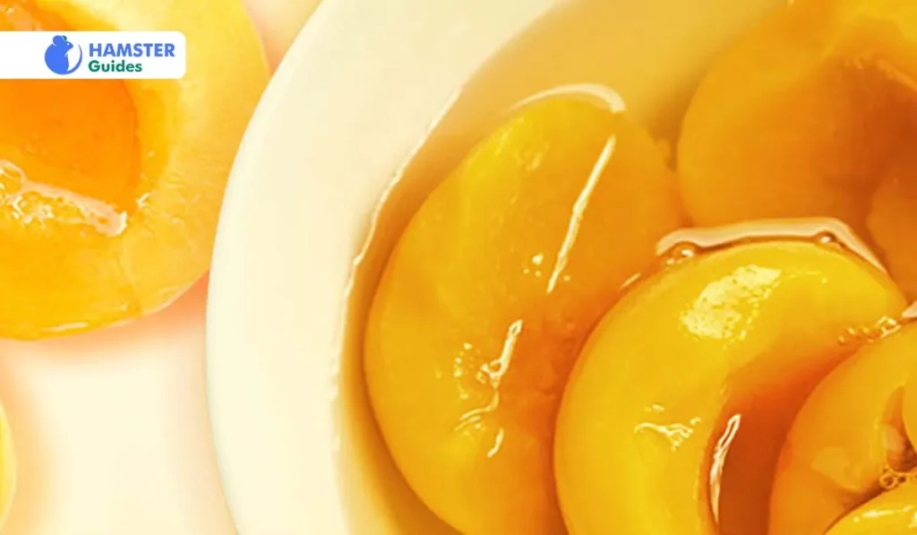 Canned Apricots