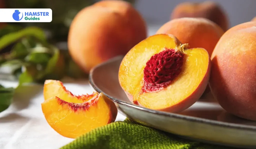 Cautions and Cleaning while offering peaches to Hamster