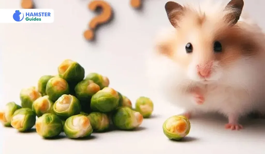 Decoding the Hamster Diet