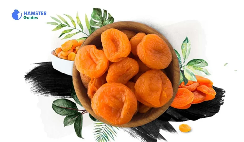 Dried Apricot