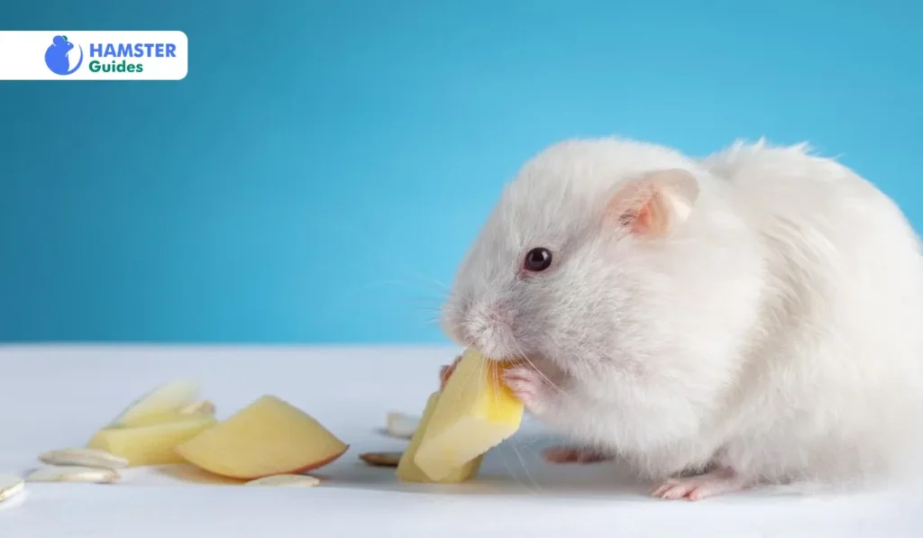 Exploring Other Nutritious Treats For Hamsters