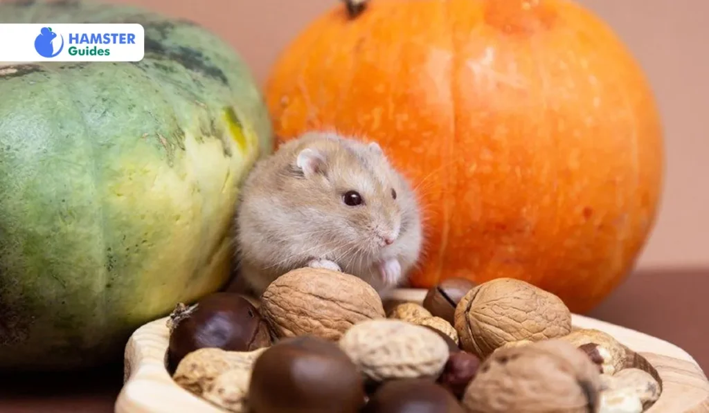 Feeding Guidelines For Your Furry Pet