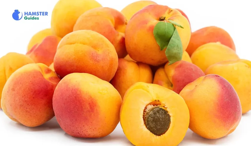 Fresh Apricots