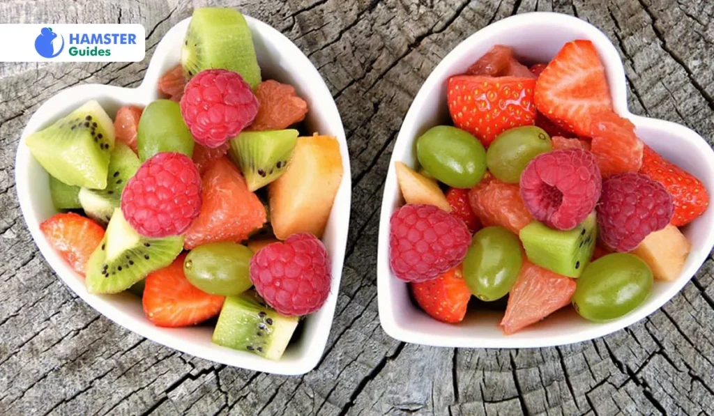 Fresh Fruits and Veggies