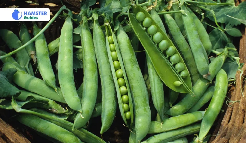 Green Arrow Peas