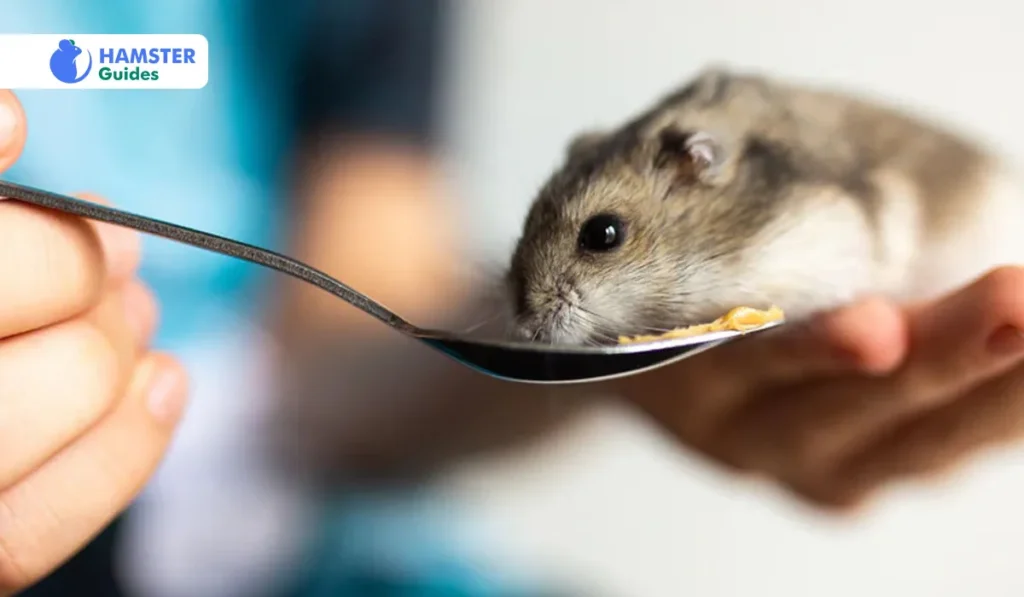 Hamster Dietary Guidelines