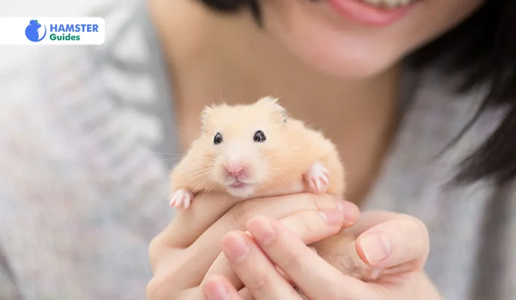 Hamster Health Problems Related to Arugula