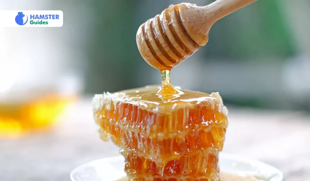 Health Benefits and Risks of Honey