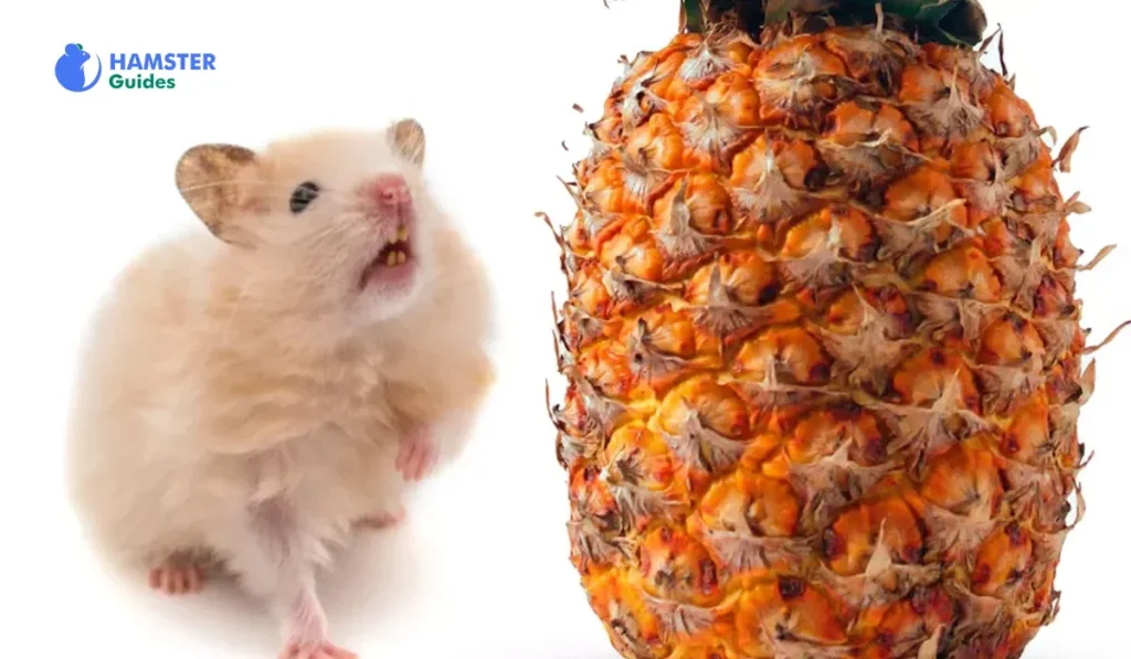 Health Benefits of Pineapple for Hamsters