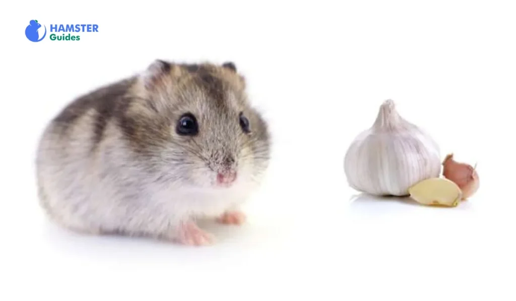 Health Consequences of Garlic Consumption