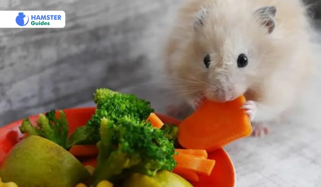 Healthy Nutrition