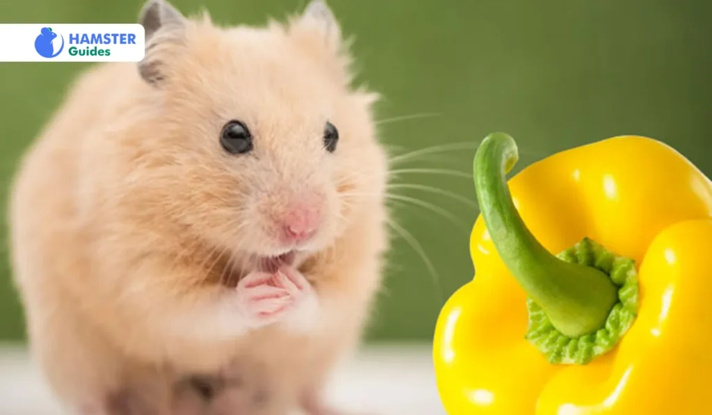 How Much and How Often Can Hamsters Have Bell Peppers