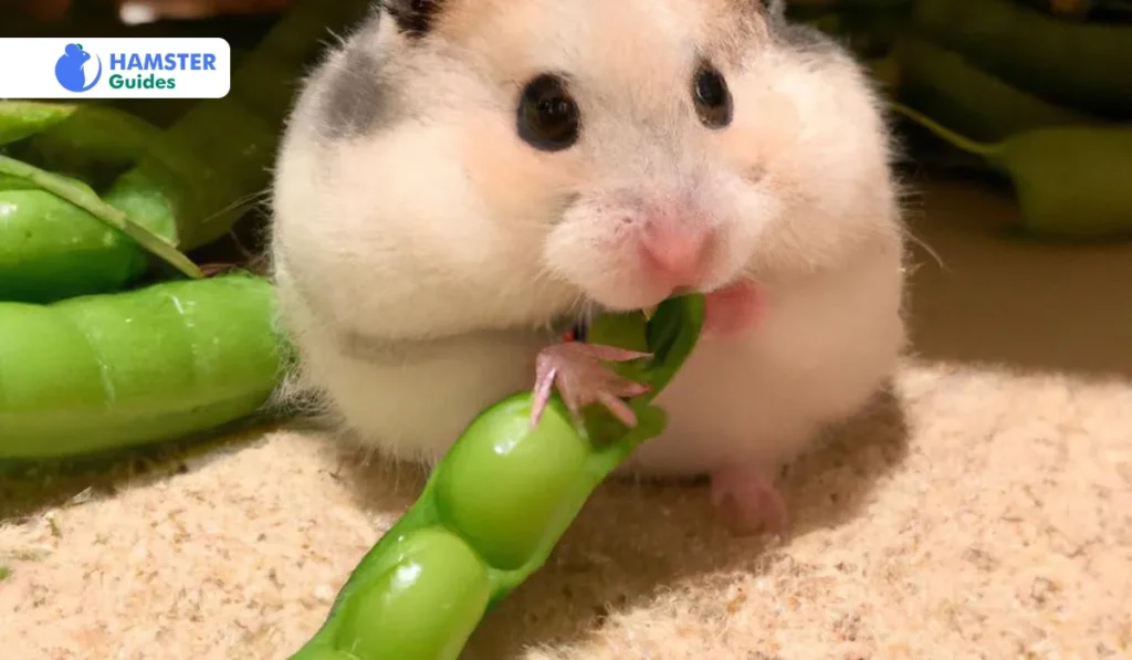 How to Introduce Snow Peas to Your Hamster