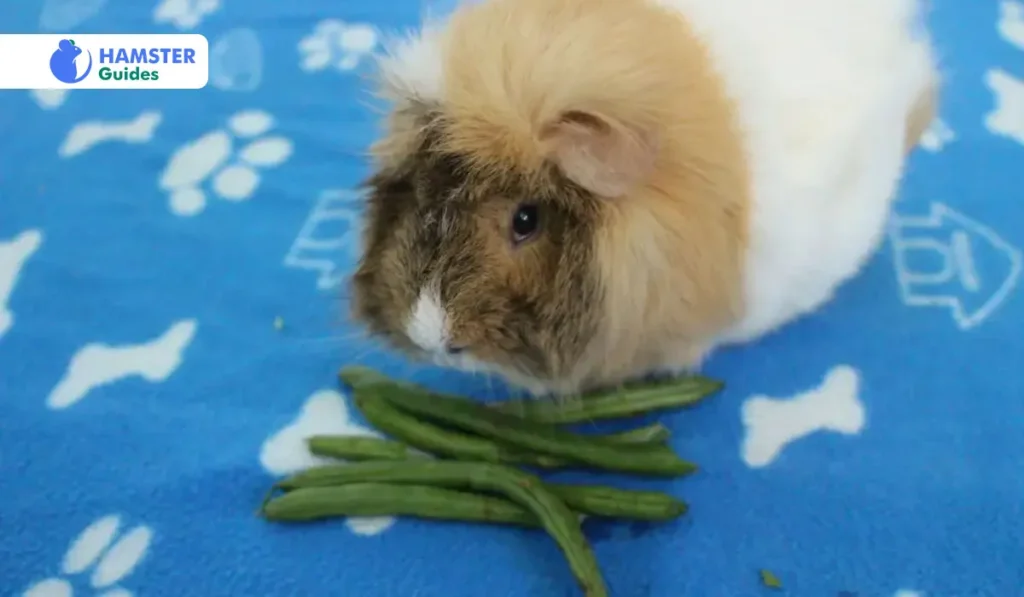 How to Prevent Choking of Green Beans