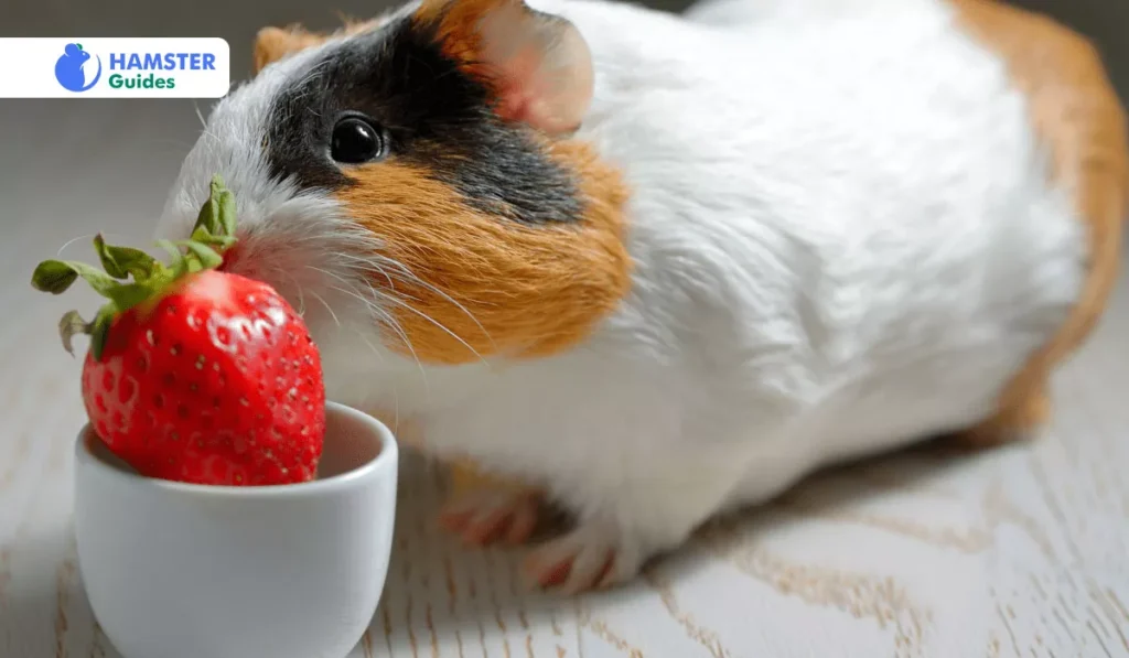 Is It Safe to Eat Strawberry Leaves