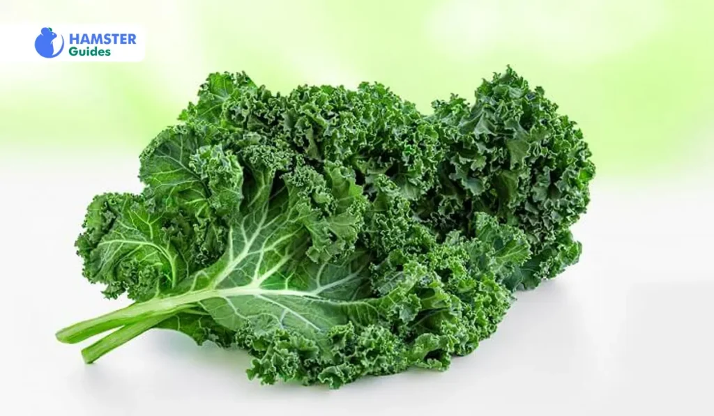 Is Kale Ok For Hamsters