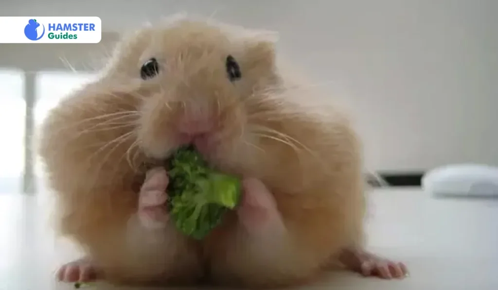Is Kale Ok For Hamsters