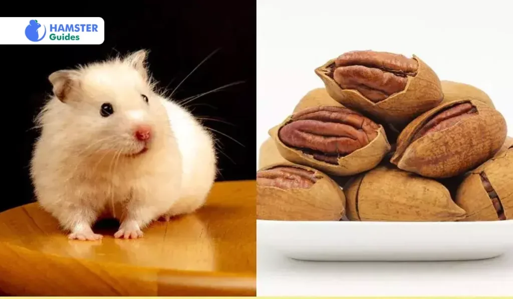 Moderate Consumption A Key to Health