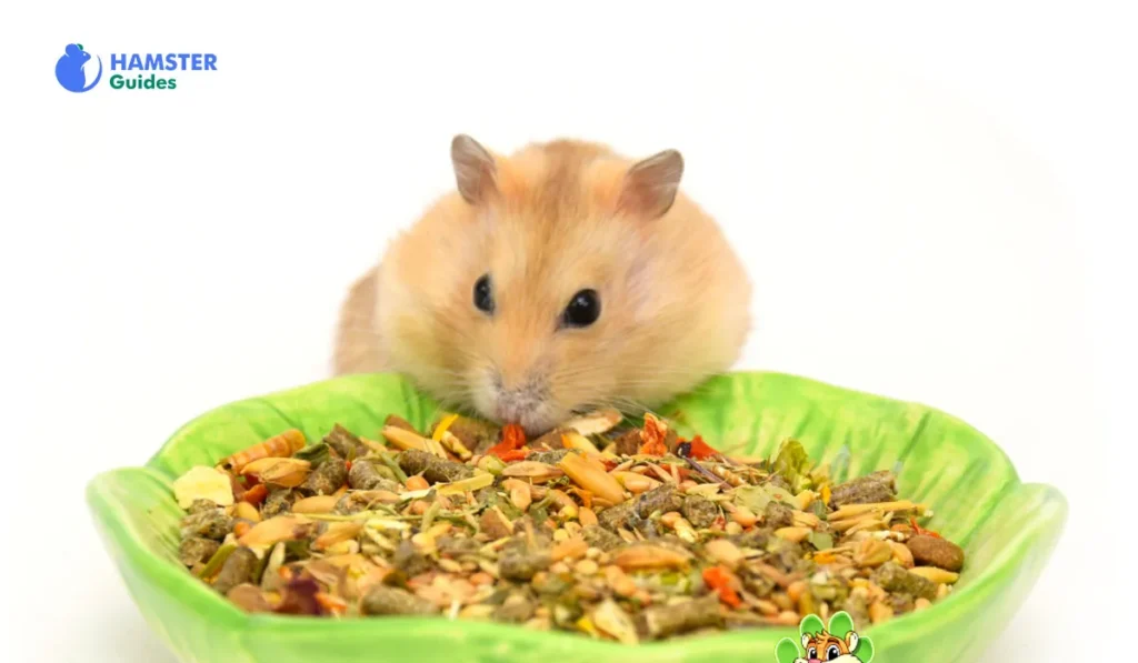 Navigating the Bird Food Landscape