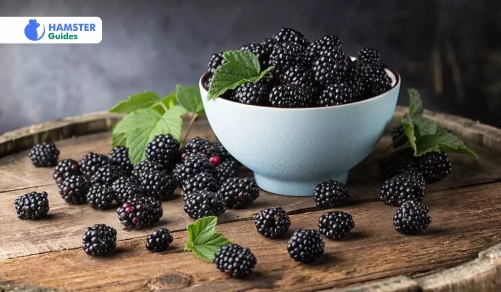 Nutrition Concentration in Blackberries