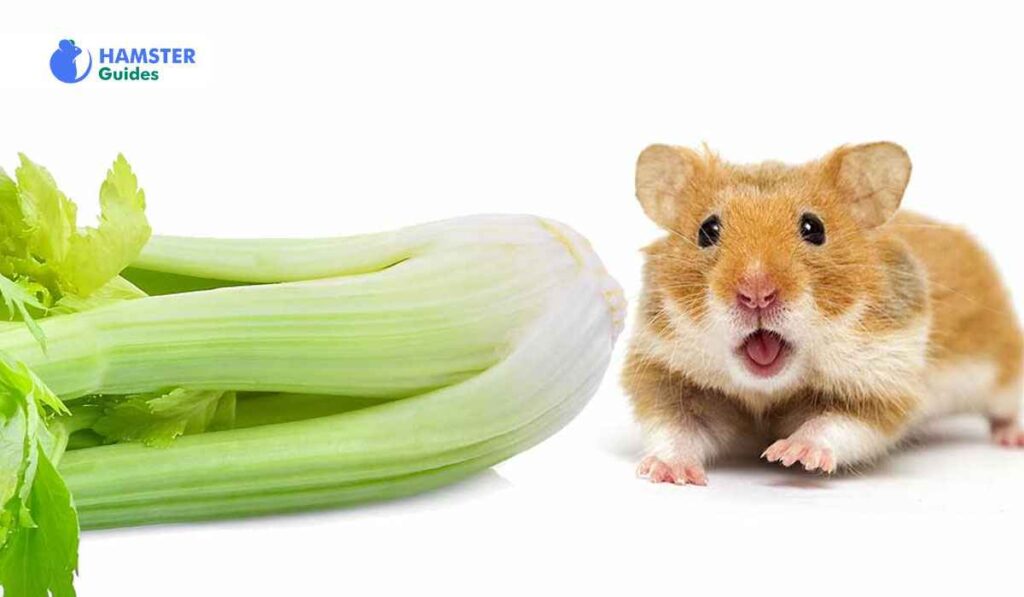 Nutritional Benefits of Celery for Hamsters