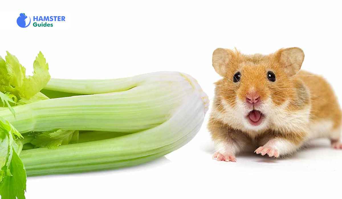 Can Hamsters Have Celery Leaves? Nutritional Tips & Benefits