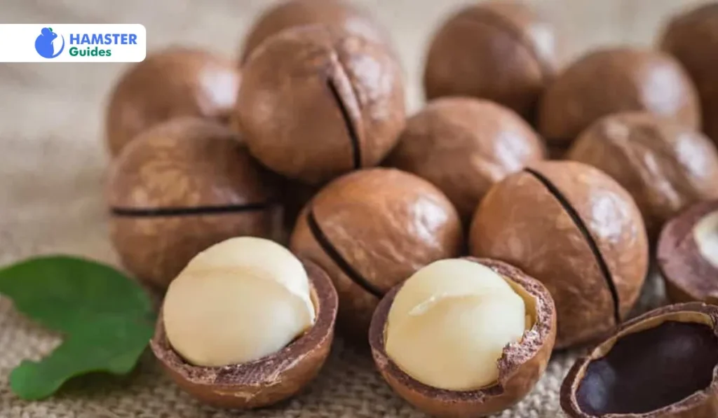 Nutritional Benefits of Macadamia Nuts