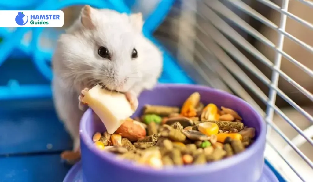 Nutritional Benefits of Nectarines for Hamsters