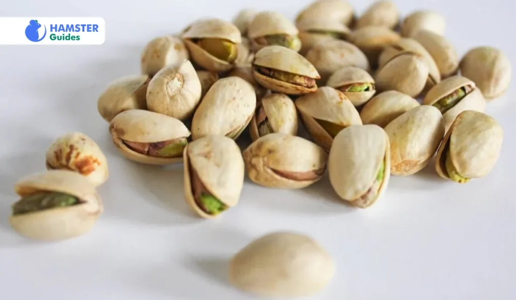 Nutritional Details Are Pistachios Suitable for Hamster