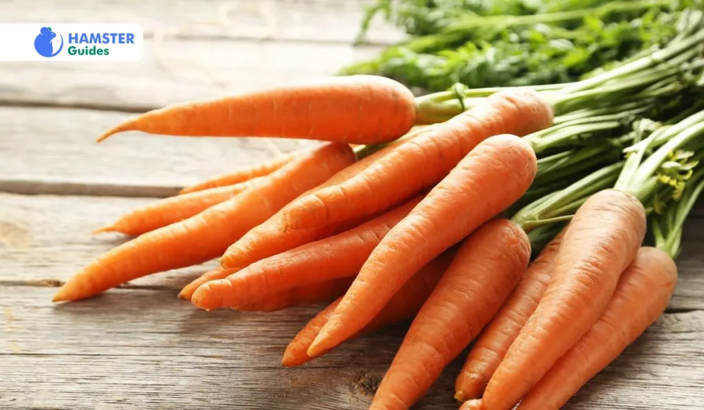 Nutritional Facts Of Offering Carrot To Hamster