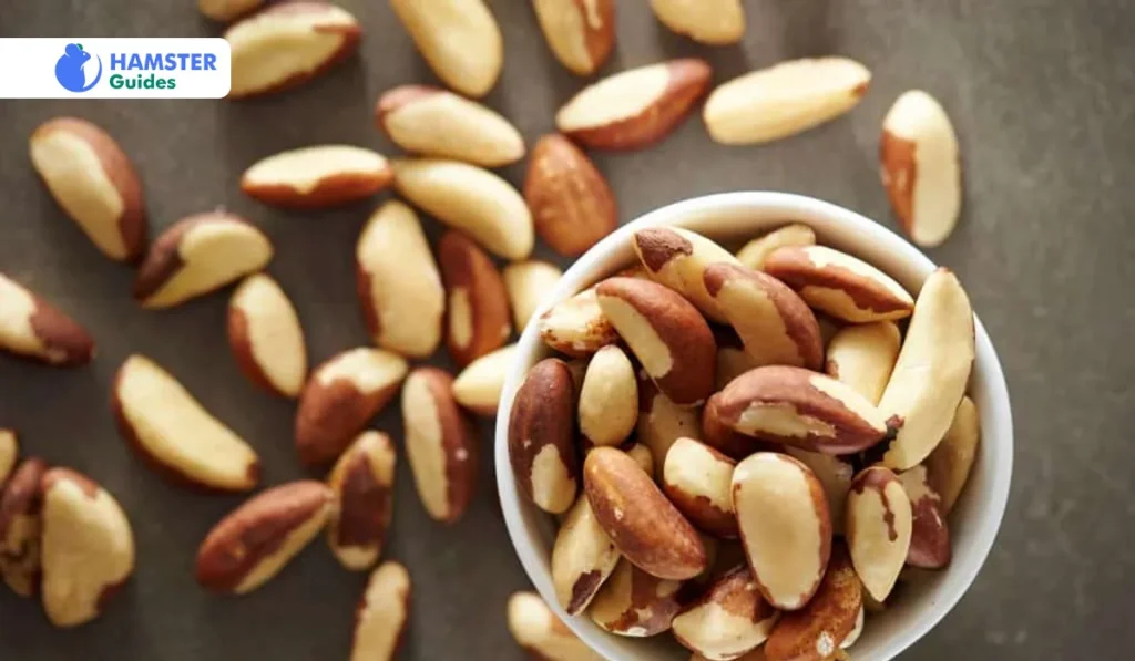 Nutritional Highlights of Roasted Peanuts