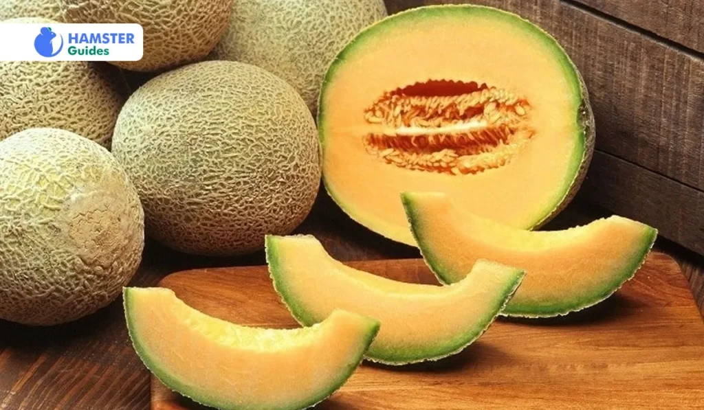 Nutritional Value of Melons for Hamsters