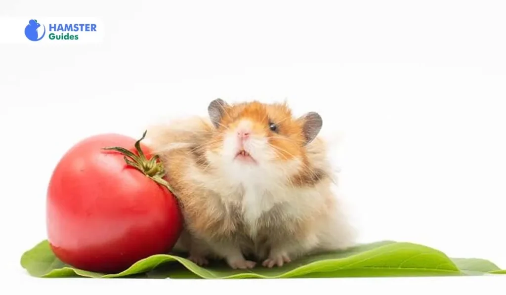 Obesity