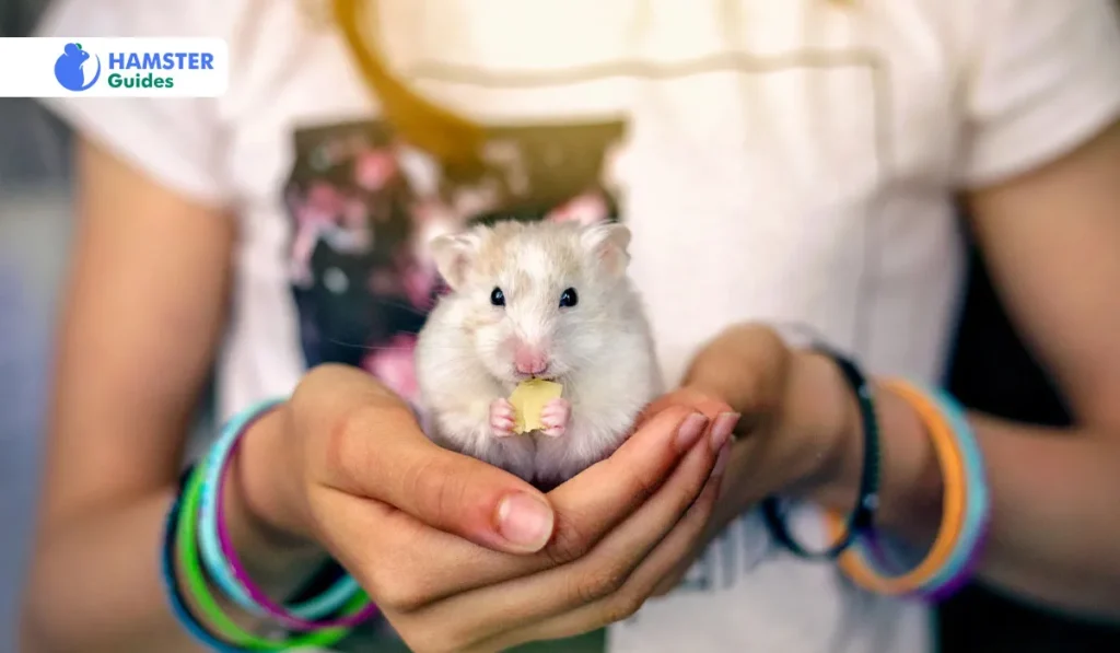 Other Considerations to Care for your Pet