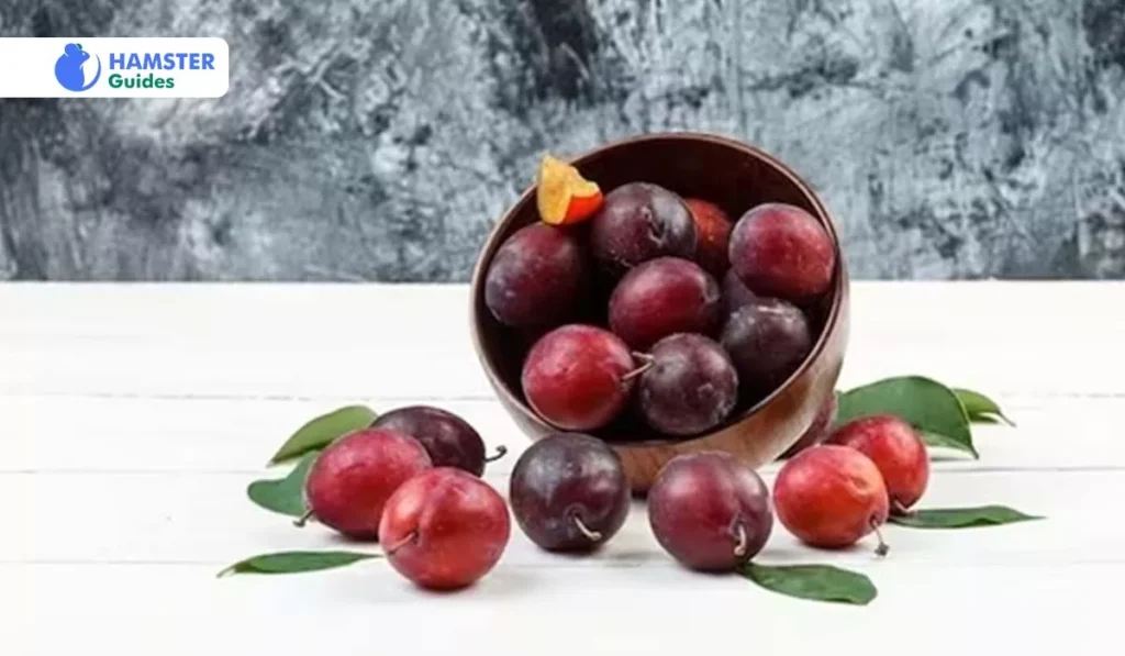 Plums Have A Healthy Nutritional Profile