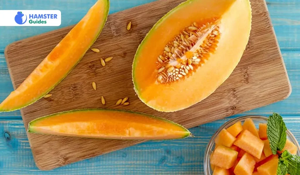 Potential Risks of Offering Melons to Hamsters