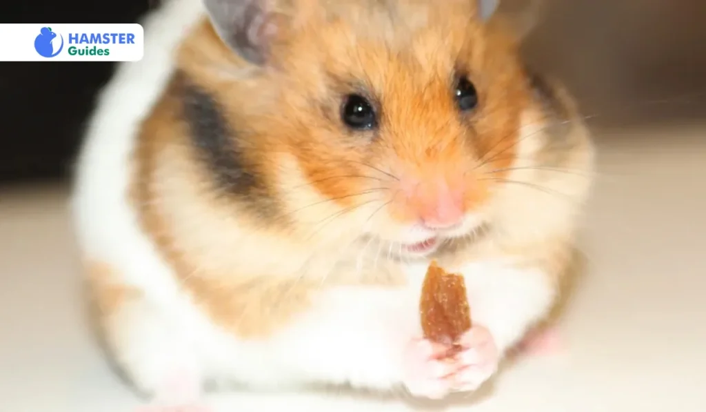 Precautions and Risks of Feeding Raisins